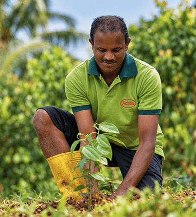 Organic Cultivation