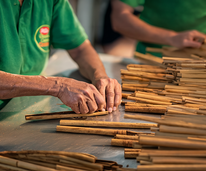 Ceylon Cinnamon