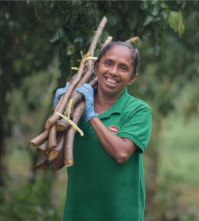 Women at the Heart of Our Work