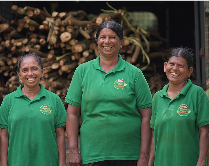 Organic Cinnamon Farming