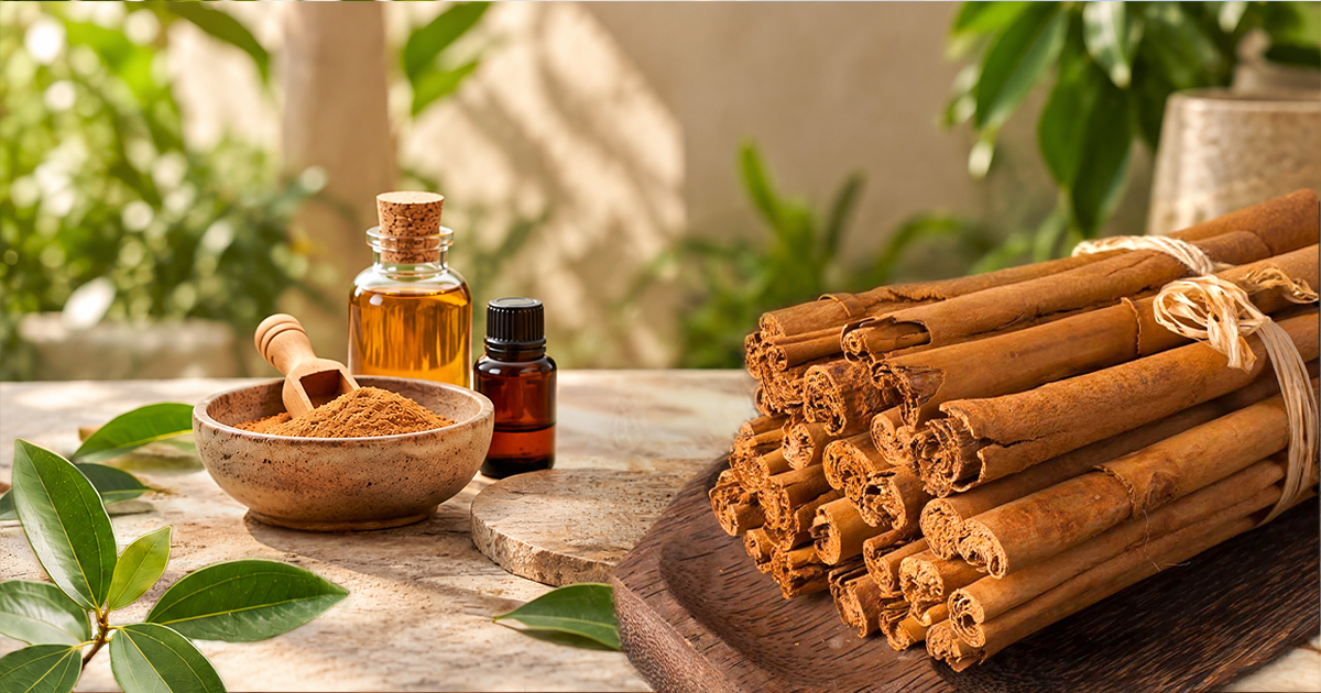 Beyond Cinnamon Quills: The Many Uses of Ceylon Cinnamon